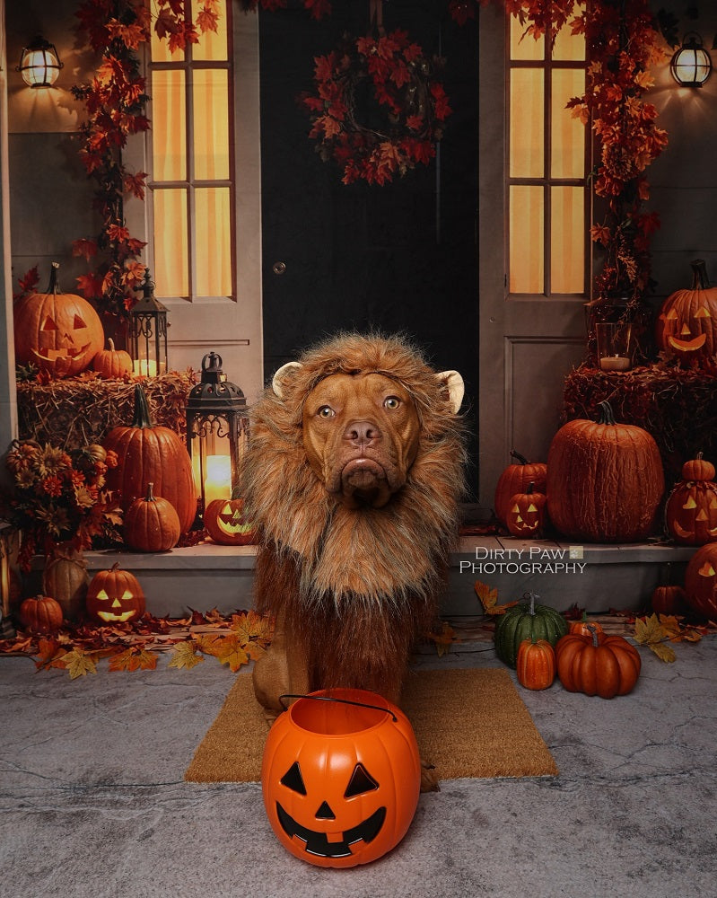 Kate Halloween Porch Wreath Pumpkin Lanterns Backdrop Designed by Emetselch