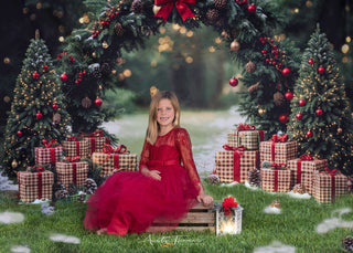 Kate Christmas Pine Arch Trees Gift Forest Printed Backdrop Designed by Emetselch