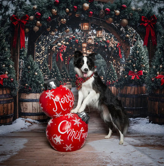 Kate Christmas Pine Arch Garland Wooden Barrels Lanterns Printed Backdrop Designed by Emetselch