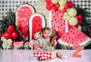 Kate Summer Watermelon Picnic Balloons Green Plaid Printed Backdrop Designed by Emetselch