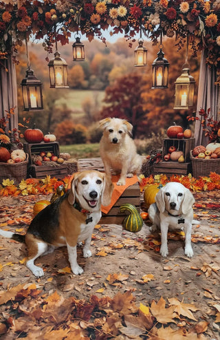 Kate Fall Flower Arch Pumpkins Lanterns Printed Backdrop Designed by Patty Roberts