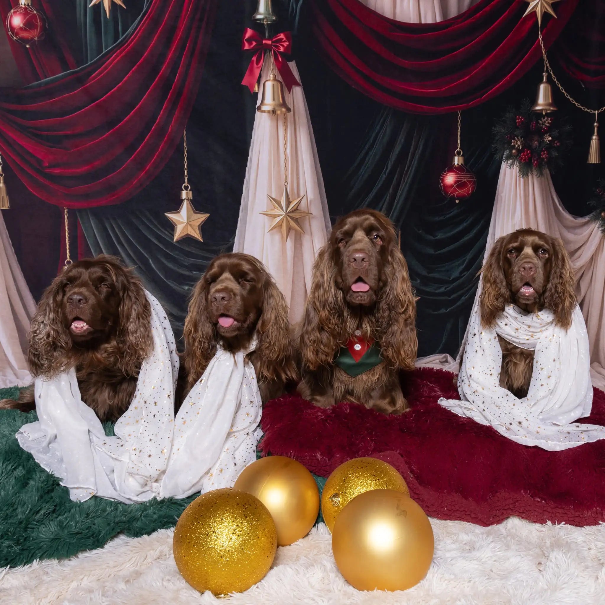 Kate Christmas Red Green Draped Curtains Ornaments Printed Backdrop Designed by Emetselch