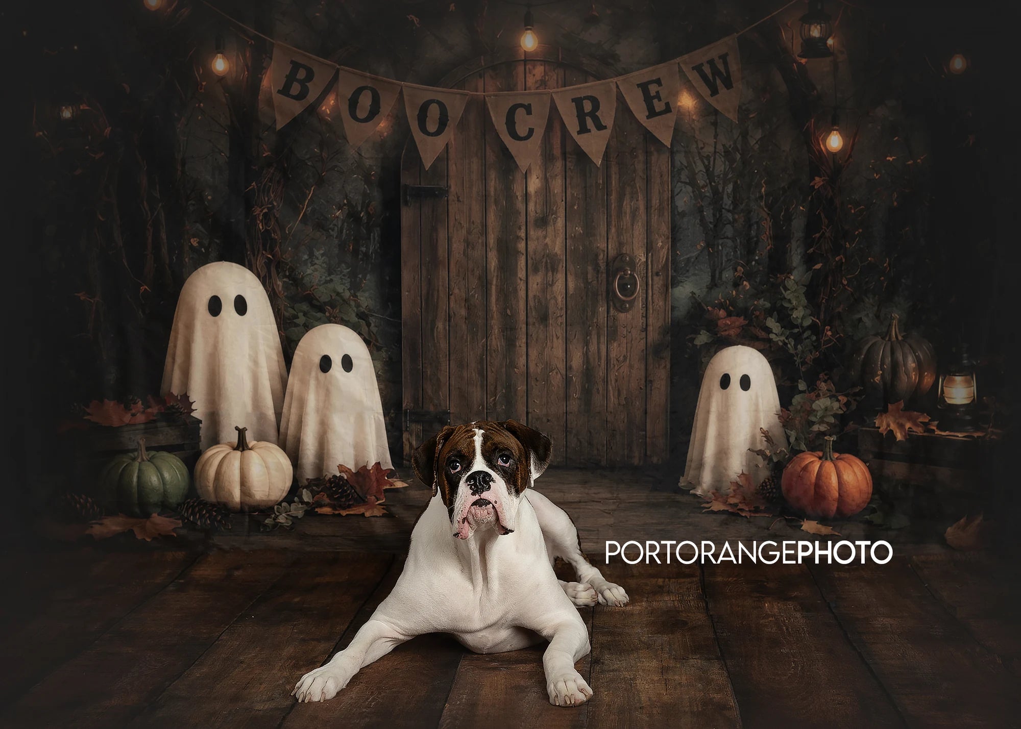 BH1060978D selected image BH1060978D.webp