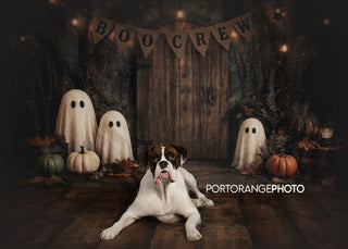 Kate Halloween Trick Or Treat Haunted Barn Ghosts Pumpkins Lights Printed Backdrop Designed by Ashley Ward