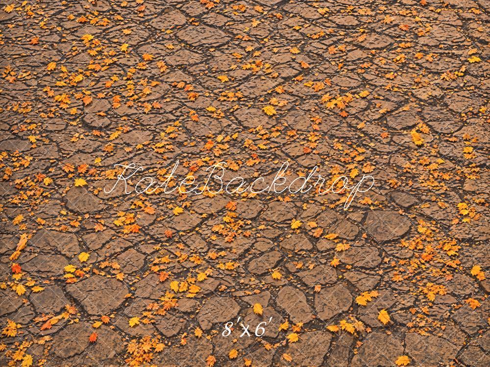 Kate Fall Fallen Leaves On Ground Backdrop Designed by Emetselch