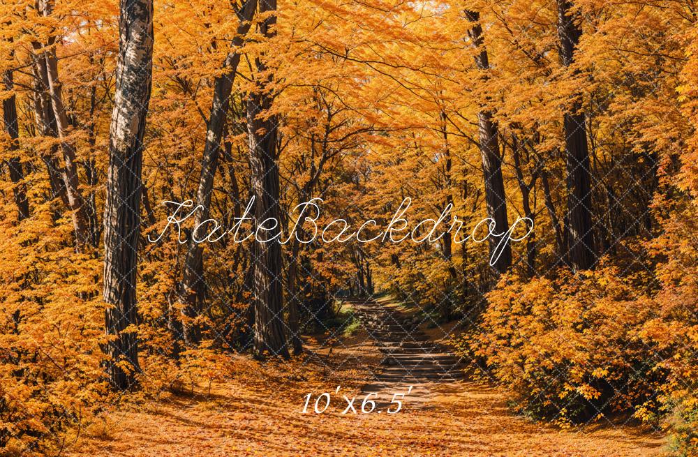 Fall Forest Path Foto Achtergrond Designed by Emetselch