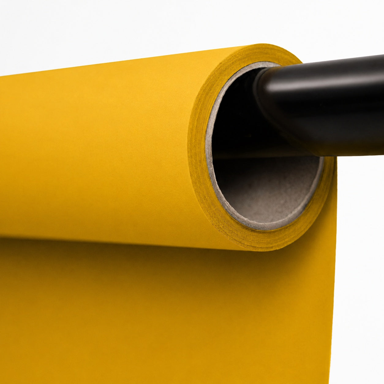 Forsythia Yellow