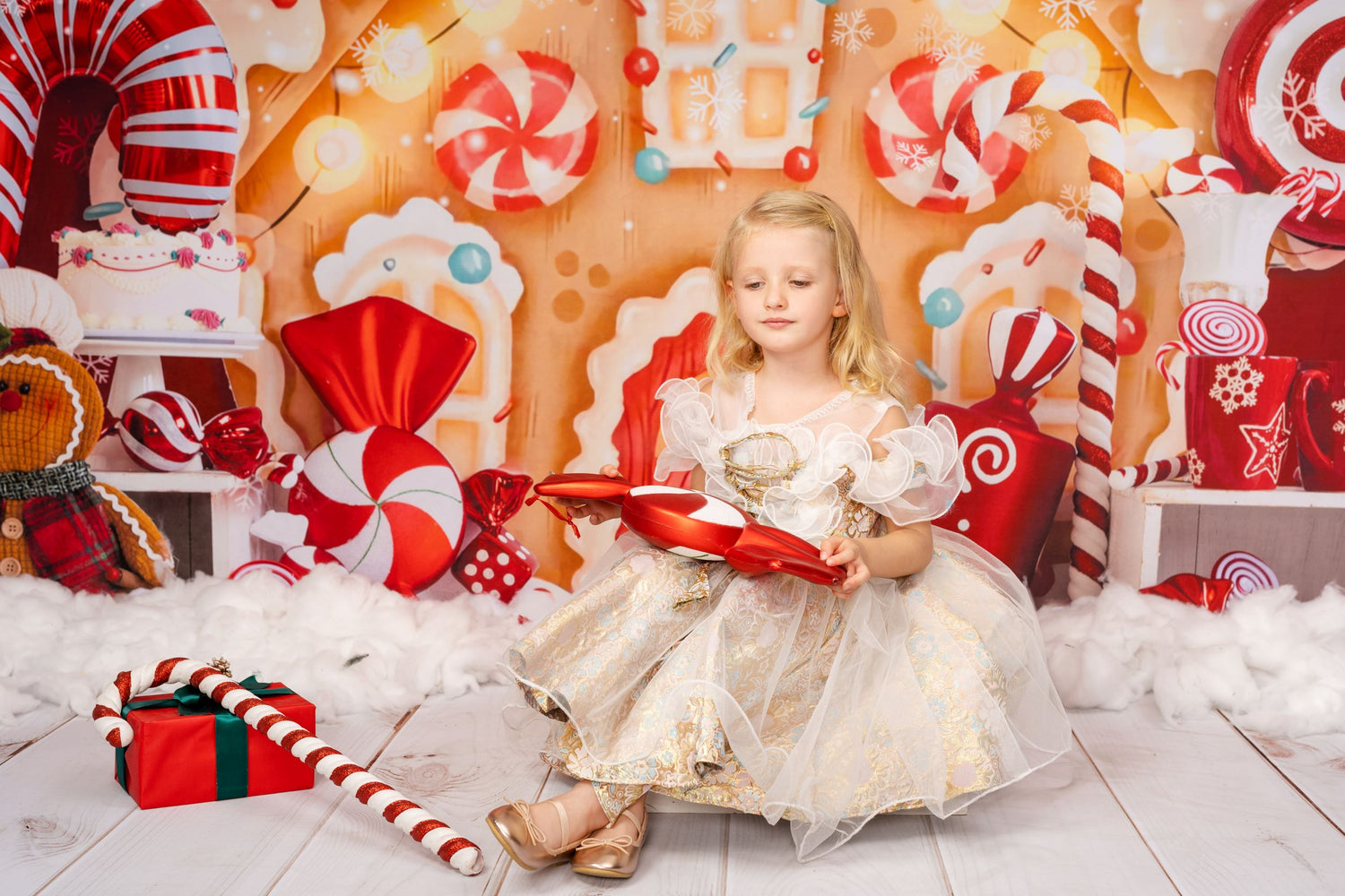 RTS Kate Christmas Backdrop Gingerbread House Candy for Photography