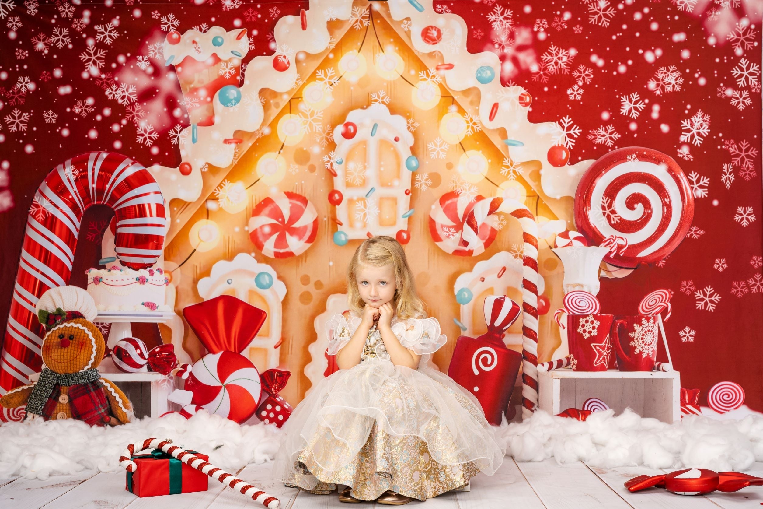 RTS Kate Christmas Backdrop Gingerbread House Candy for Photography