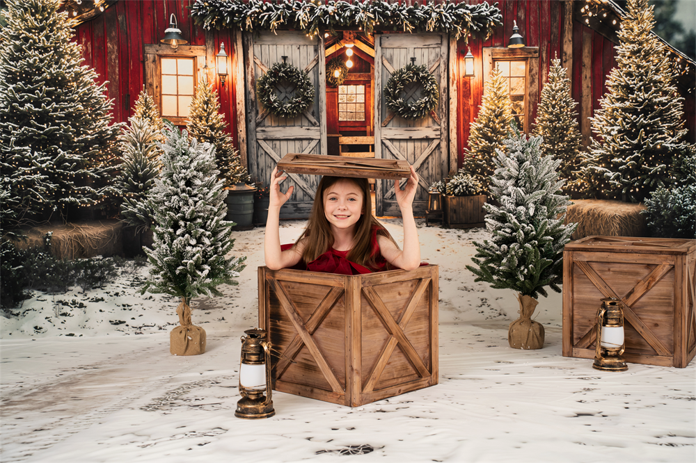 Child in a wooden crate with Christmas decorations and trees in the background