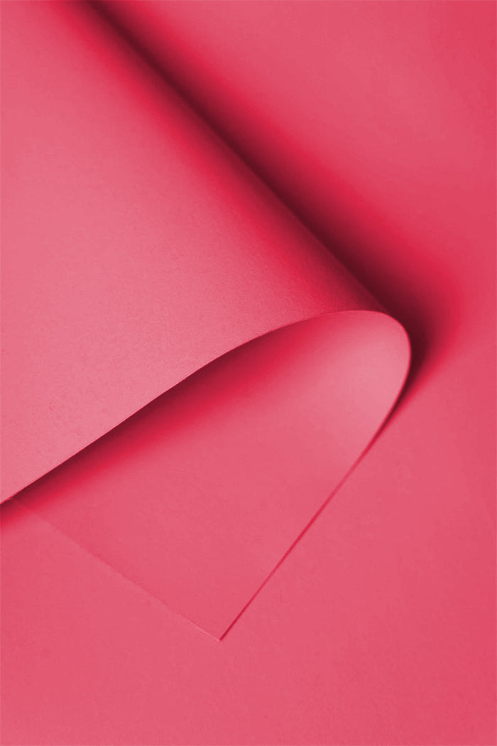 Kate Light Pink Seamless Paper Backdrop for Photography
