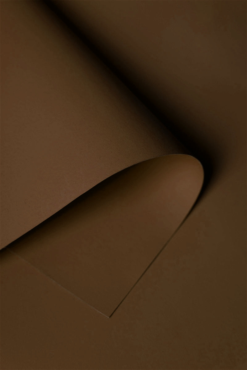 Kate Cocoa Brown Seamless Paper Backdrop
