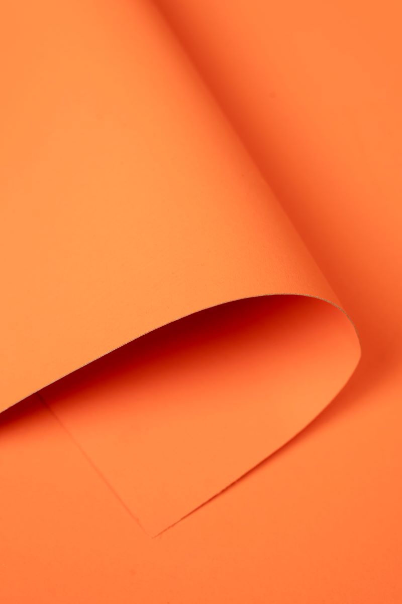 Kate Bright Orange Seamless Paper Backdrop