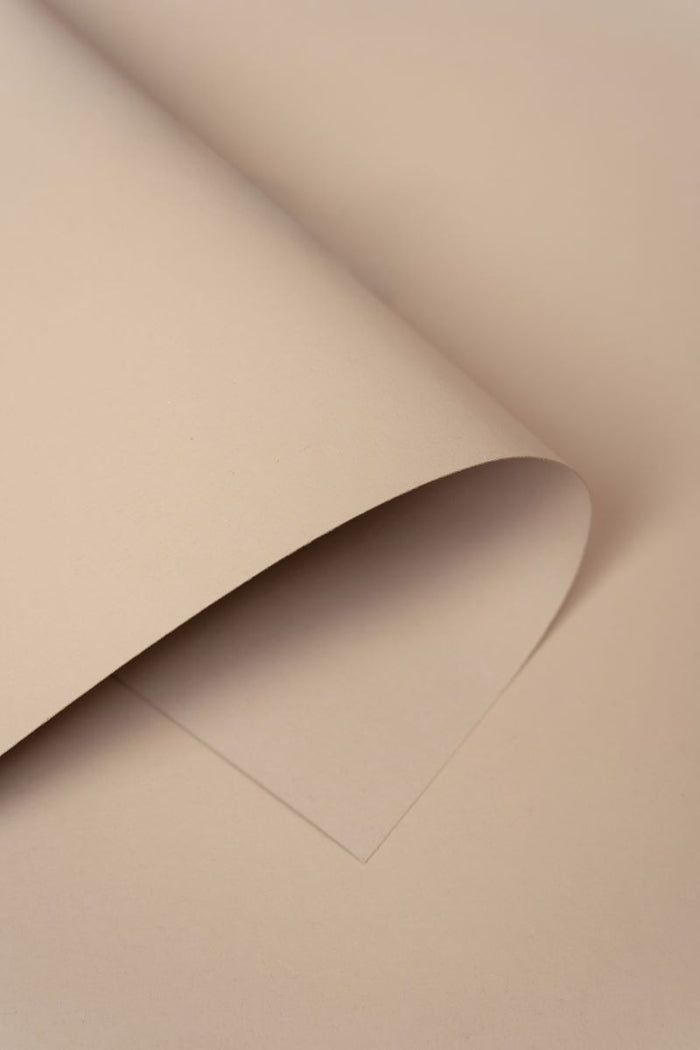 Kate Cream Seamless Paper Backdrop for Photography