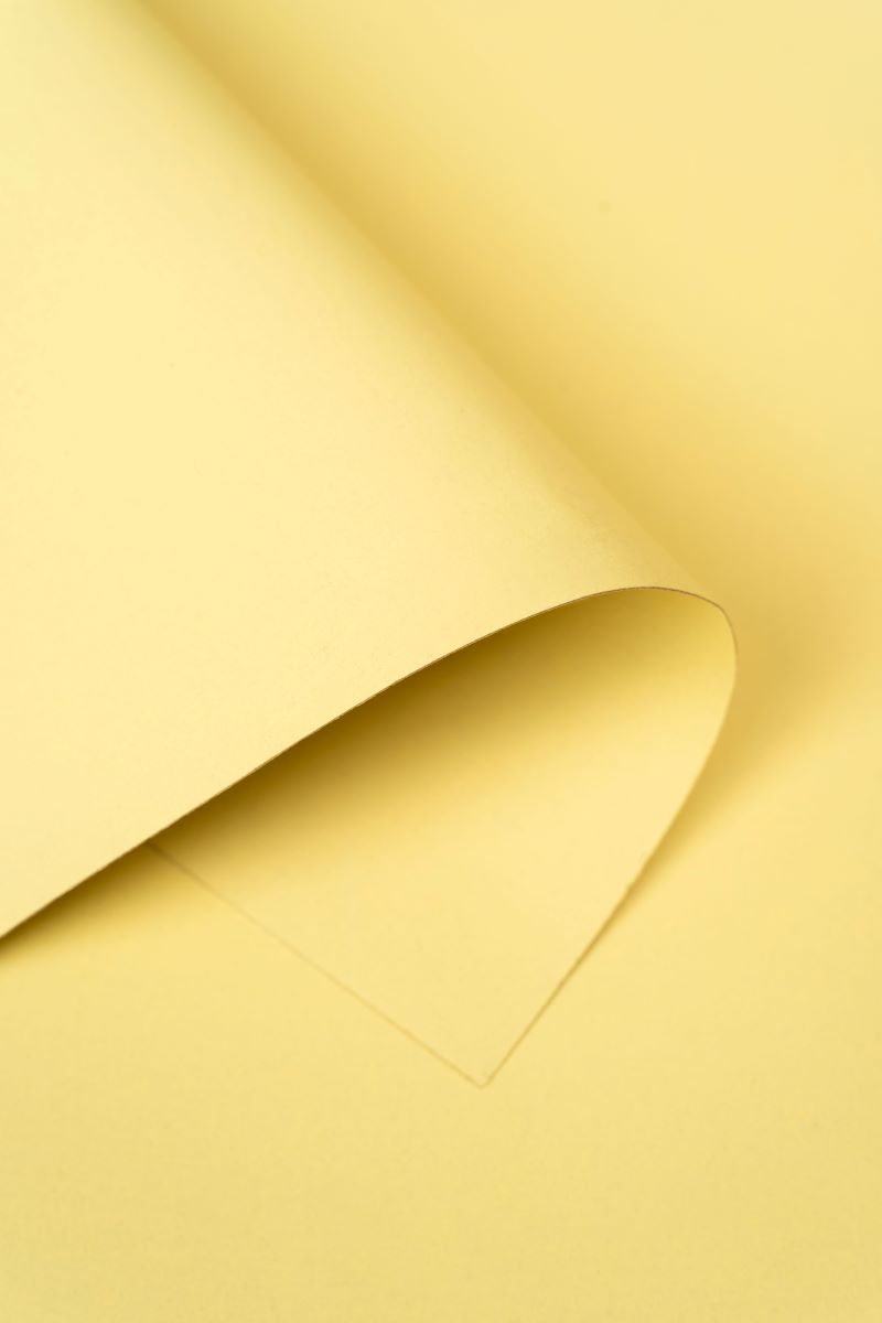RTS Kate Cream Yellow Seamless Paper Backdrop for Photography