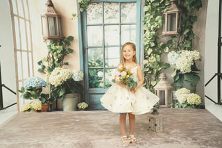 Spring Floral Window Door Hortensia Foto Achtergrond Designed by Emetselch