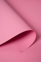 Kate Carnation Pink Seamless Paper Backdrop for Photography