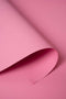 Kate Carnation Pink Seamless Paper Backdrop for Photography