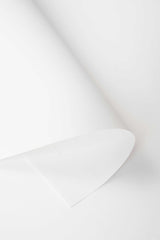 Kate White Seamless Paper Backdrop 