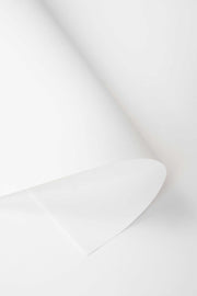 Kate White Seamless Paper Backdrop for Photography