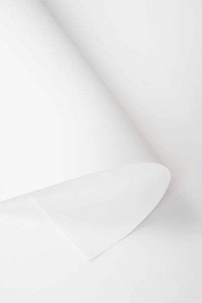 Kate White Seamless Paper Backdrop for Studio Photography