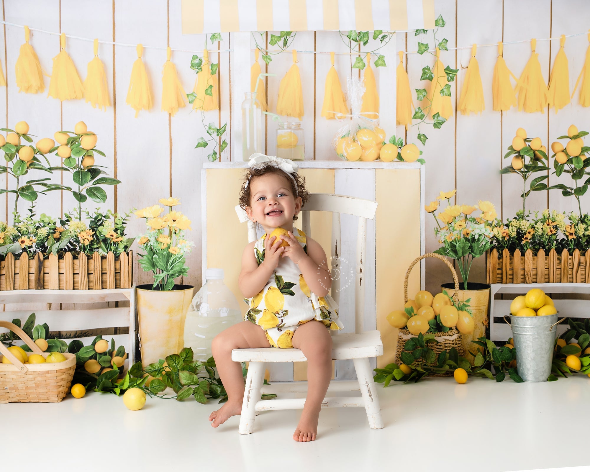 RTS Kate Summer Lemonade Store Backdrop Designed by Jia Chan Photography