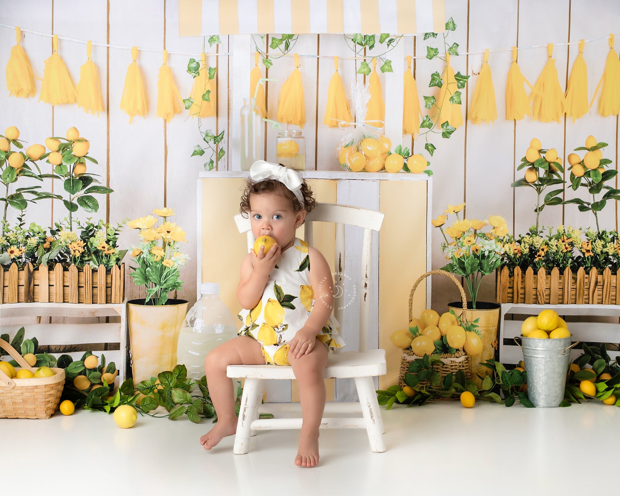 RTS Kate Summer Lemonade Store Backdrop Designed by Jia Chan Photography