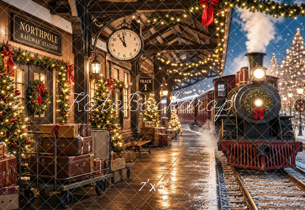 Kate Christmas Combination Printed Backdrops for Photography( 4 Backdrops in Total)