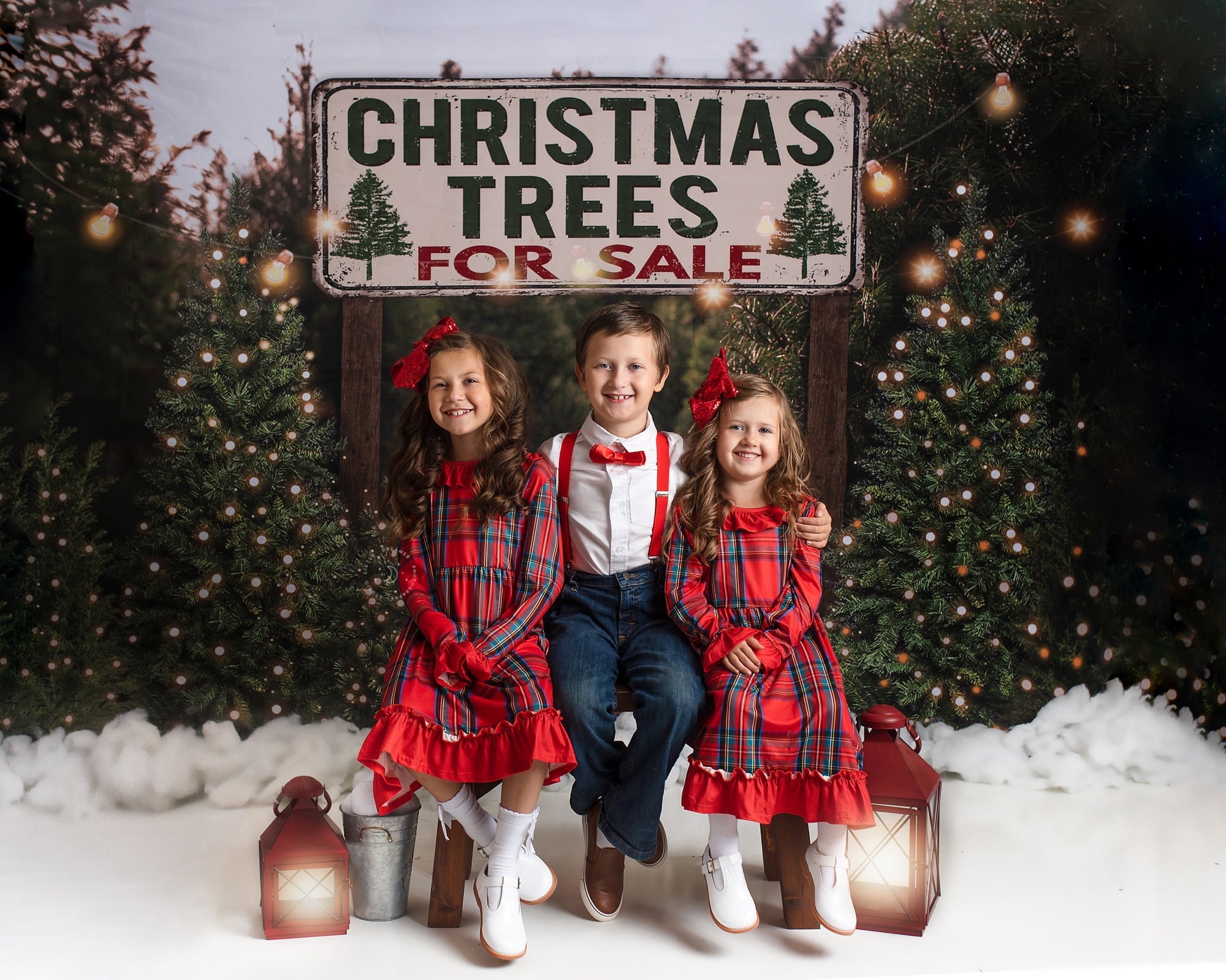 RTS Kate Christmas Tree Backdrop for Photography