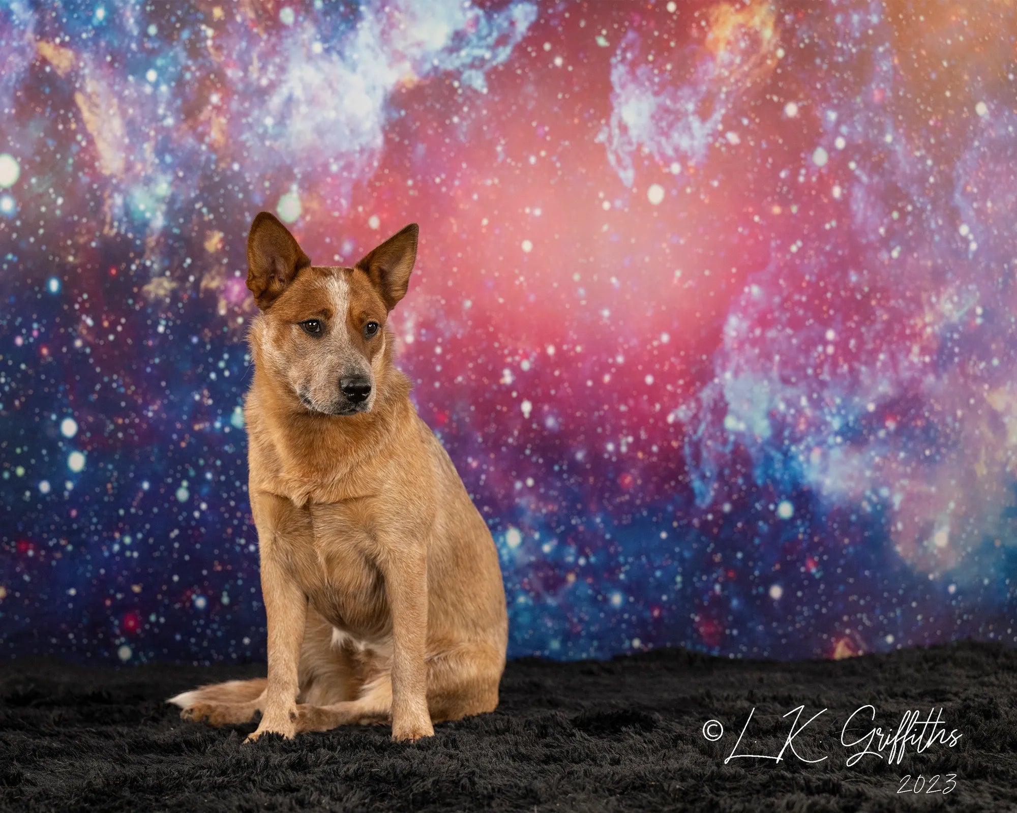 Kate Colorful Galaxy Outer Space  Backdrop for photography