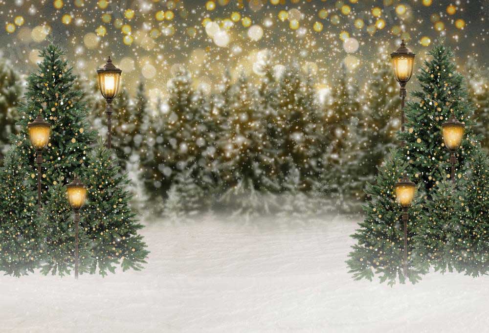 Kate Christmas Snow Forest Lights Backdrop for Photography (only ship to Canada)