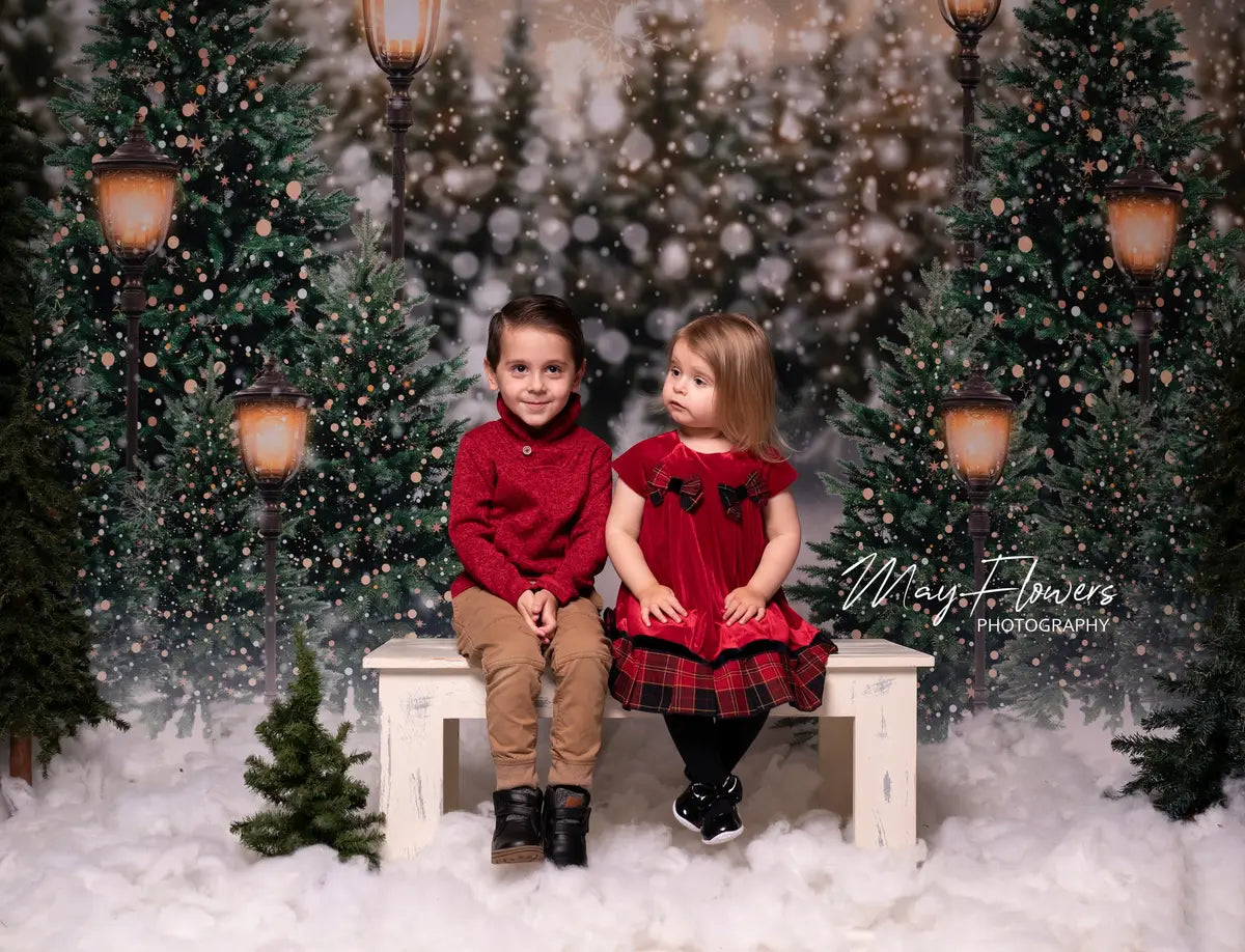 RTS Kate Christmas Snow Forest Lights Backdrop for Photography