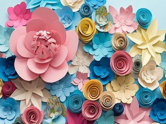 Kate Colored 3D Flower Backdrop Diy Florals Background - Katebackdrop