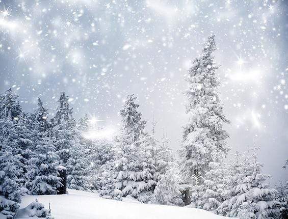 Katebackdrop鎷㈡綖Kate Christmas Winter Wonderland With Trees Backdrop for Photography
