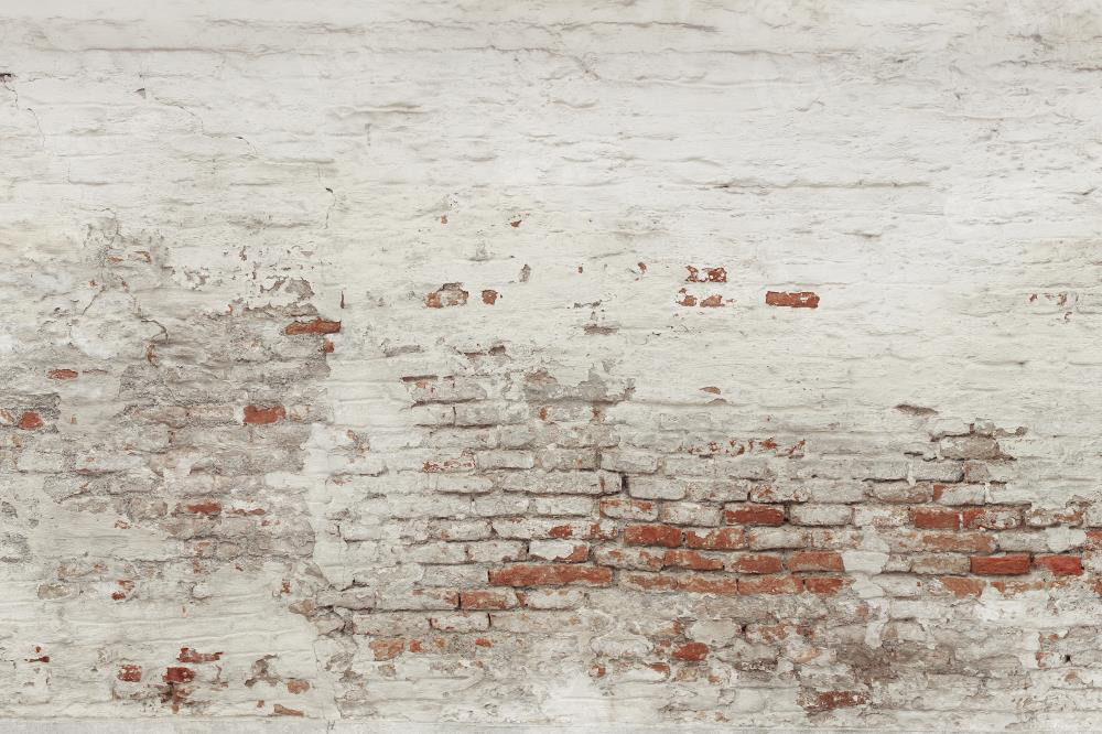 RTS Kate Damaged Brick White Wall  Backdrop for Photography Designed by Pine Park Collection