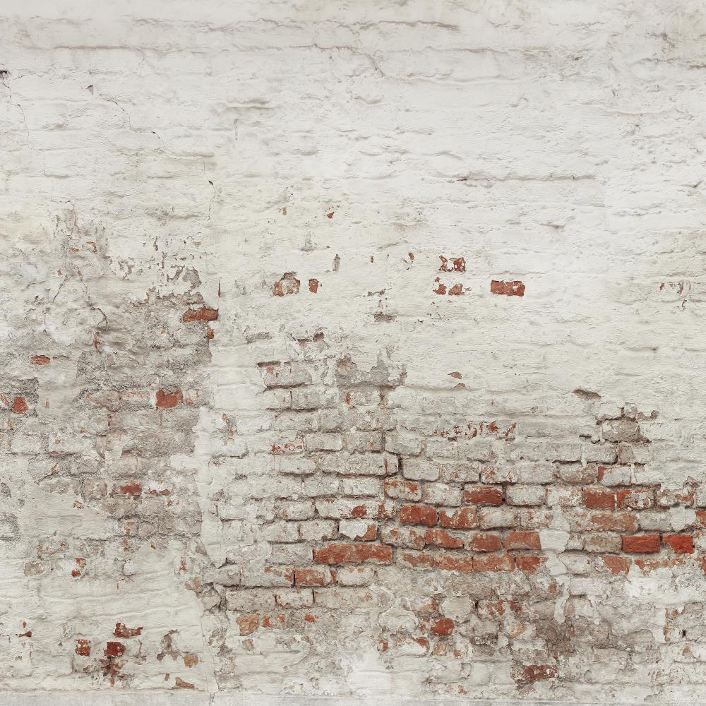 RTS Kate Damaged Brick White Wall  Backdrop for Photography Designed by Pine Park Collection