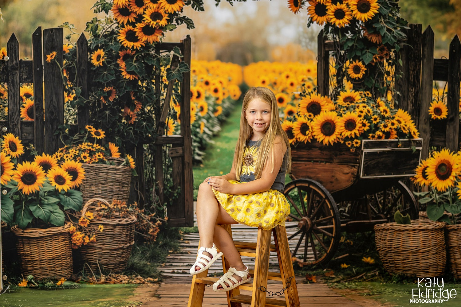 Kate Fall Sunflower Arch Rustic Basket Path Backdrop+Wooden Pathway Green Grass Floor Backdrop