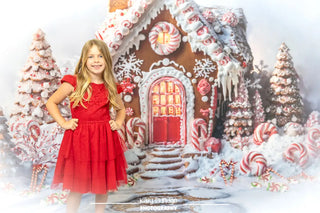 Kate Christmas Tree Gingerbread House Candy Cane Printed Backdrop Designed by Emetselch
