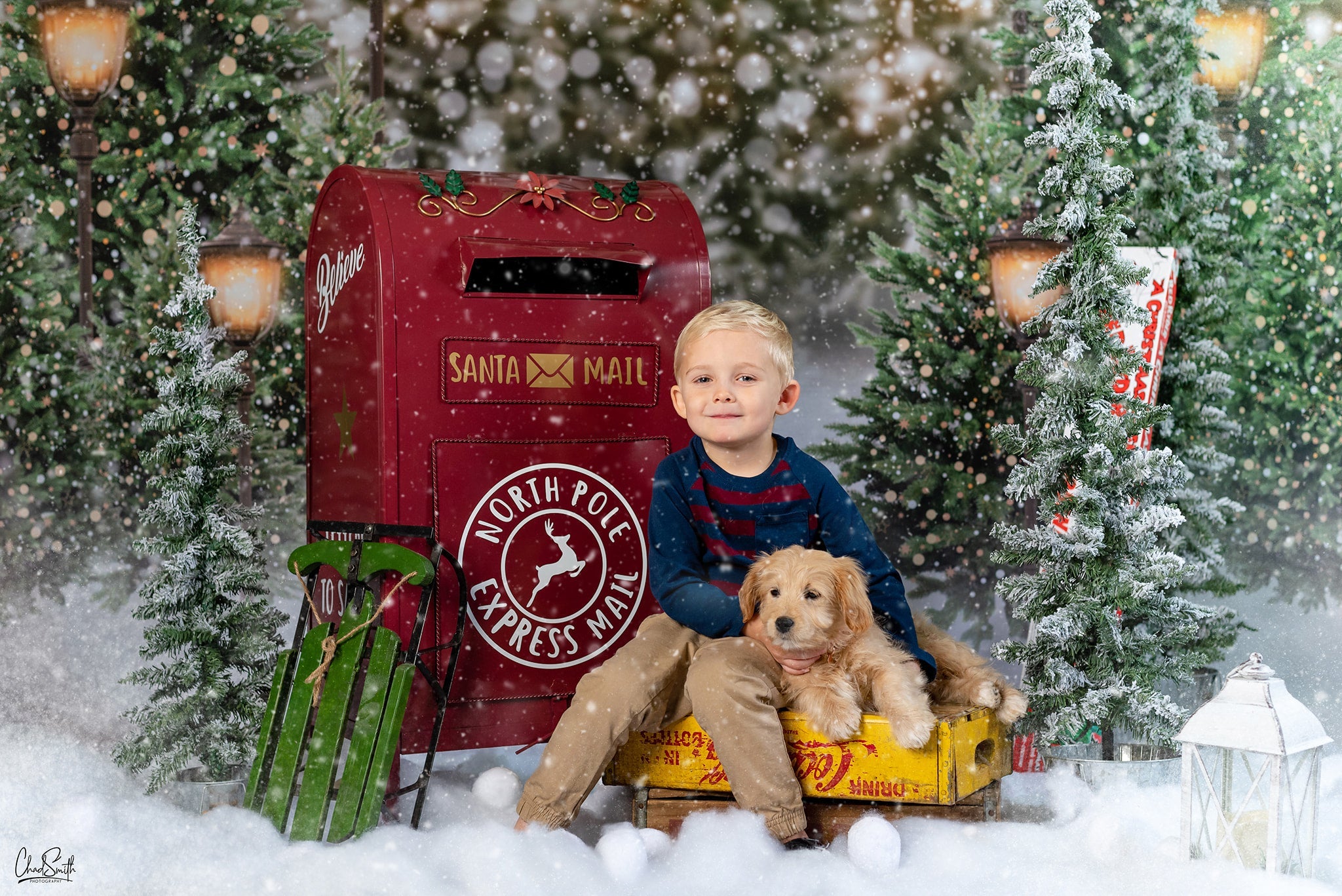 Kate Christmas Snow Forest Lights Backdrop for Photography (only ship to Canada)