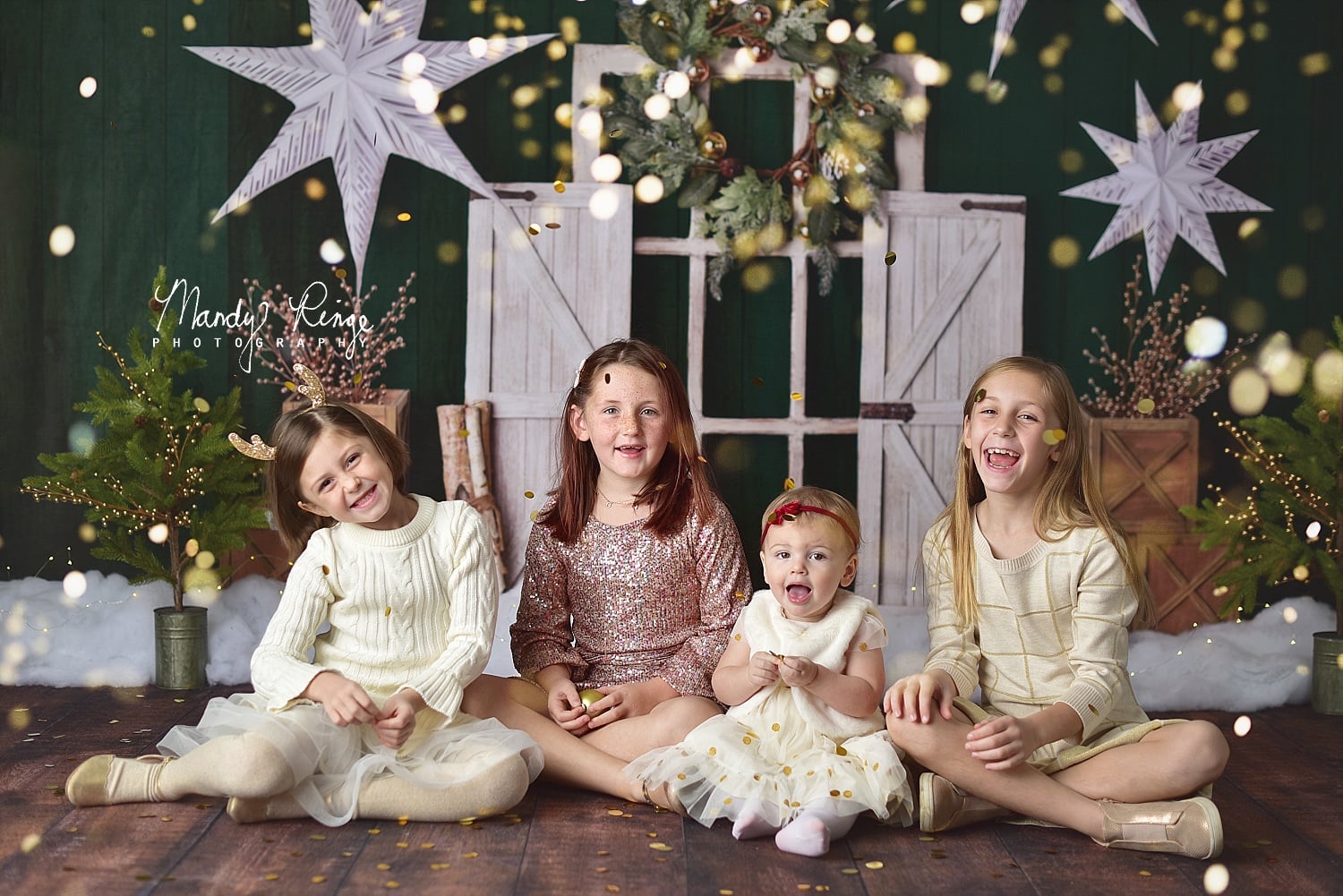 RTS Kate Evergreen Christmas Holiday Backdrop Designed by Mandy Ringe Photography