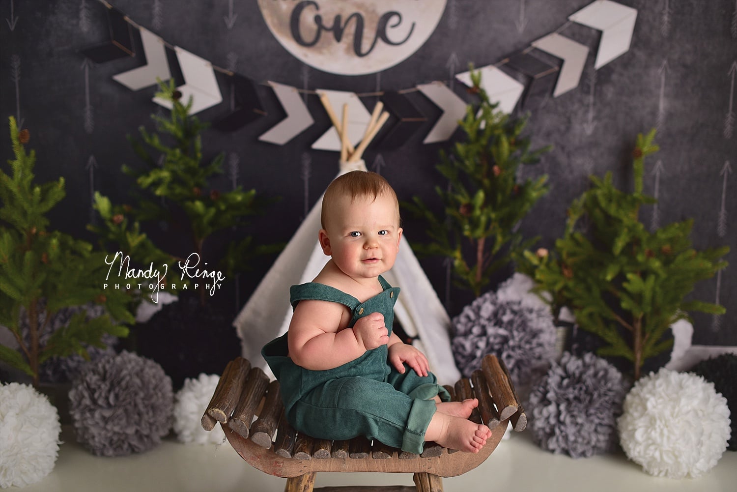 RTS Kate Wild One Boy First Birthday Backdrop Designed By Mandy Ringe Photography