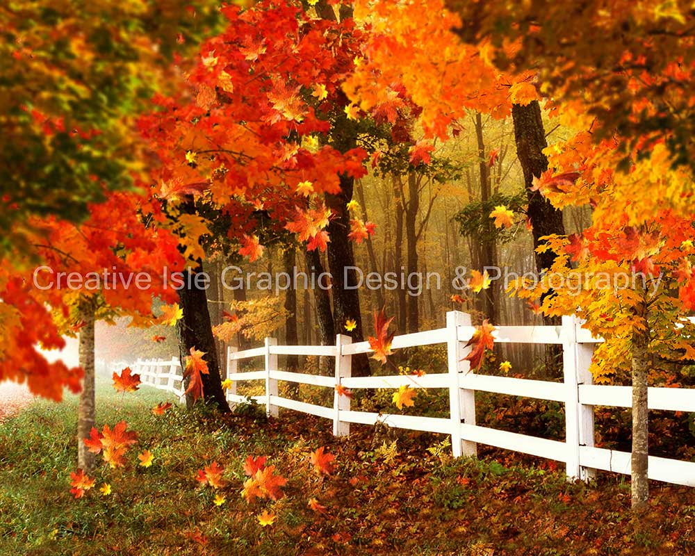 RTS Kate Autumn Scene Backdrop Fallen leaves Designed by Chrissie Green