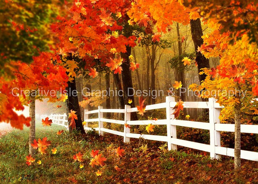 RTS Kate Autumn Scene Backdrop Fallen leaves Designed by Chrissie Green