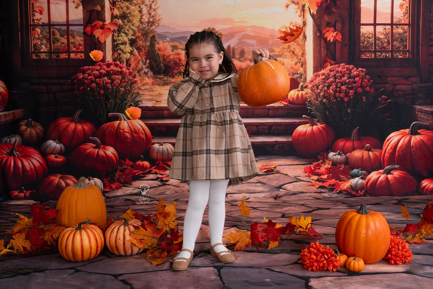 Fondo de arco de calabaza del bosque al atardecer de otoño + fondo de piso de piedra marrón