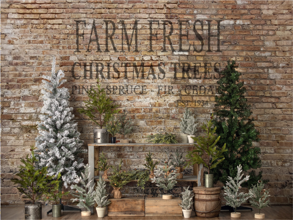 RTS Kate Christmas Farm Fresh Tree Backdrop Designed by Mandy Ringe Photography