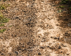 Kate Muddy Land Path Rubber Floor Mat