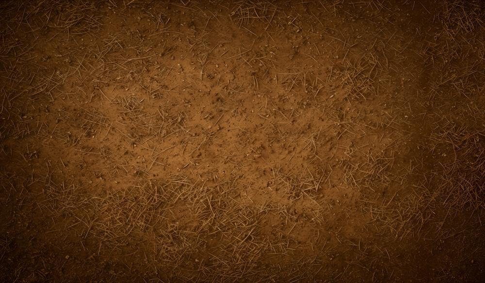 Kate Abstract Brown Dirt Ground Texture Floor Backdrop Designed by Emetselch