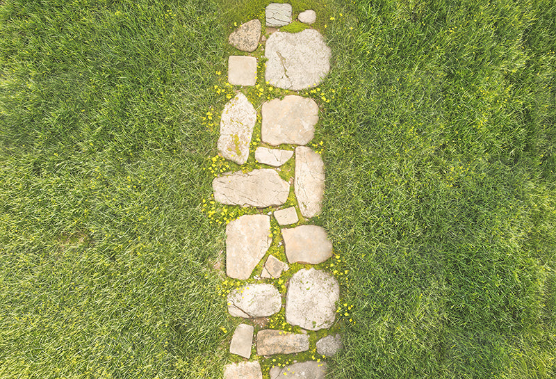 Kate Spring Stone Path In Green Grass Floor Backdrop Designed by Kate Image