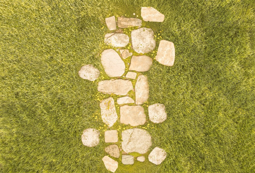 Kate Summer Stone Pathway in Grass Field Printed Backdrop Designed by Kate Image