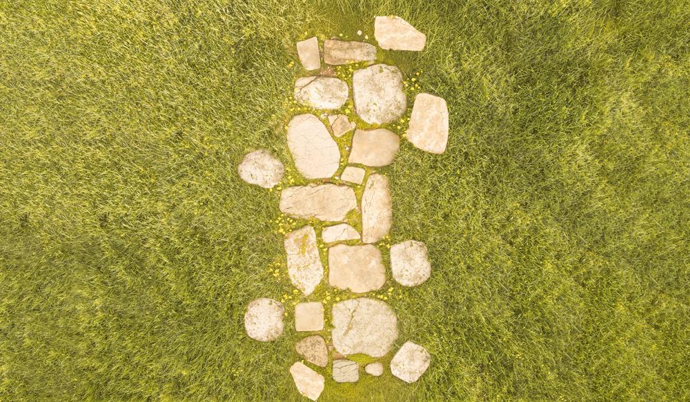 Kate Summer Stone Pathway in Grass Field Printed Backdrop Designed by Kate Image